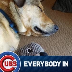 Meet your Posher, Ann